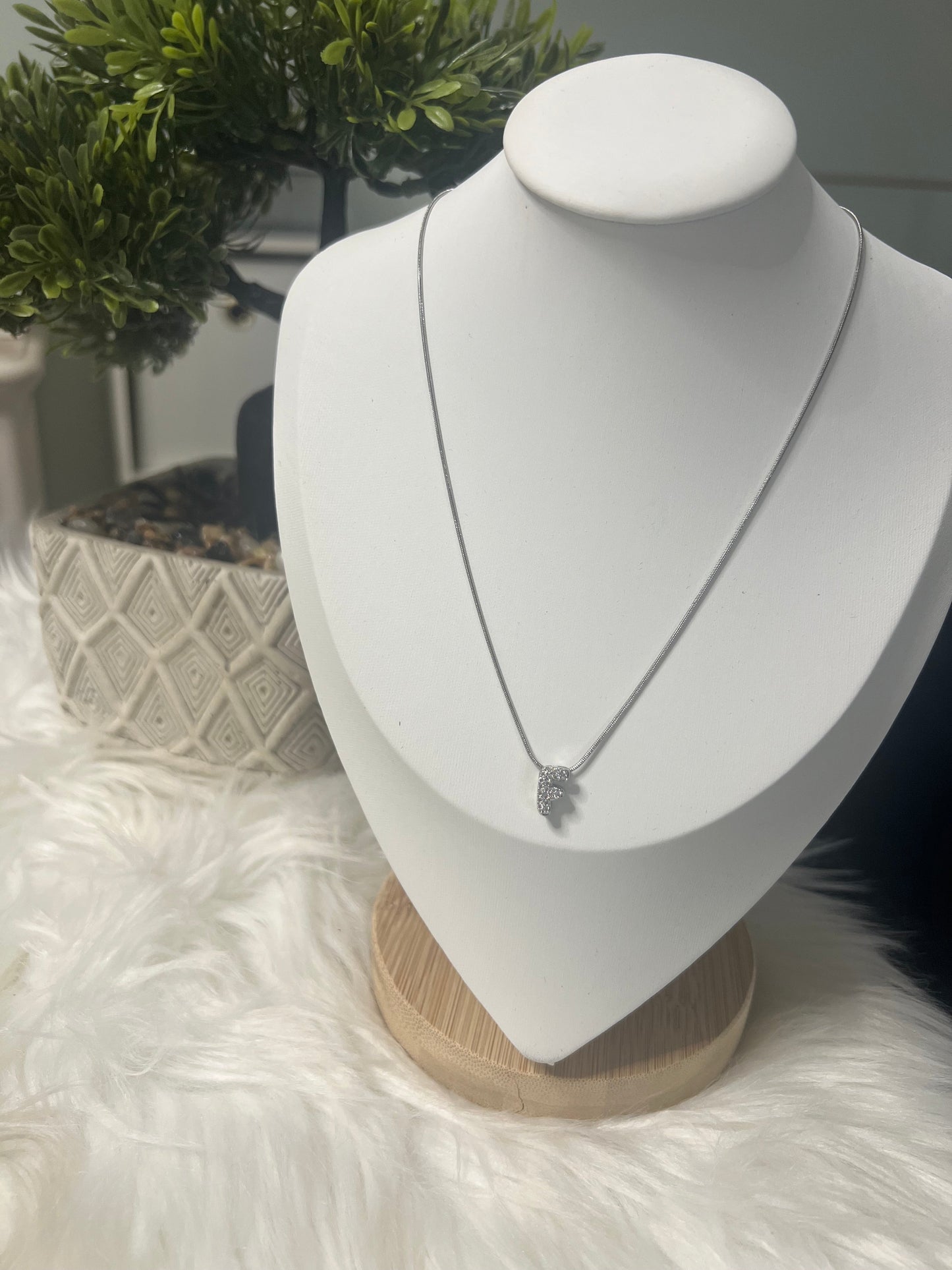 Collar Silver Glow “F”